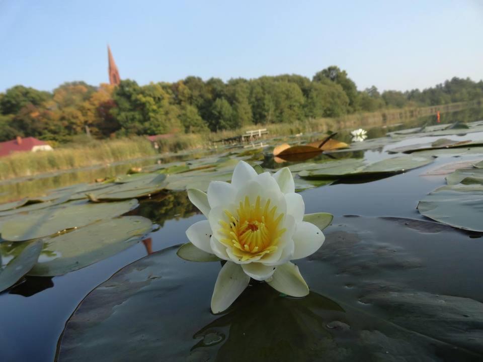 Agroturystyka Chycina Exterior foto